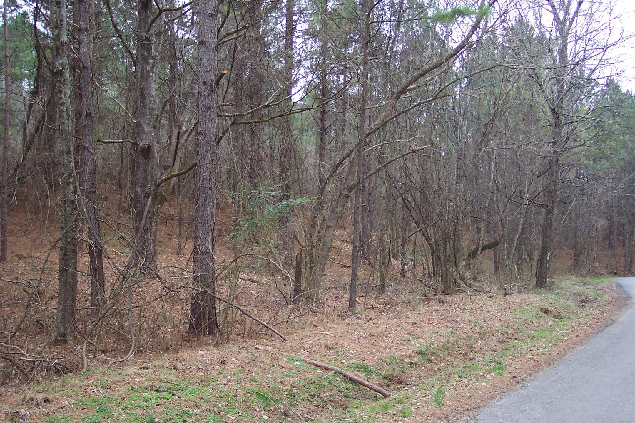 230 Co Road Calhoun, TN 37309 - Photo 5 of 5 102_3421