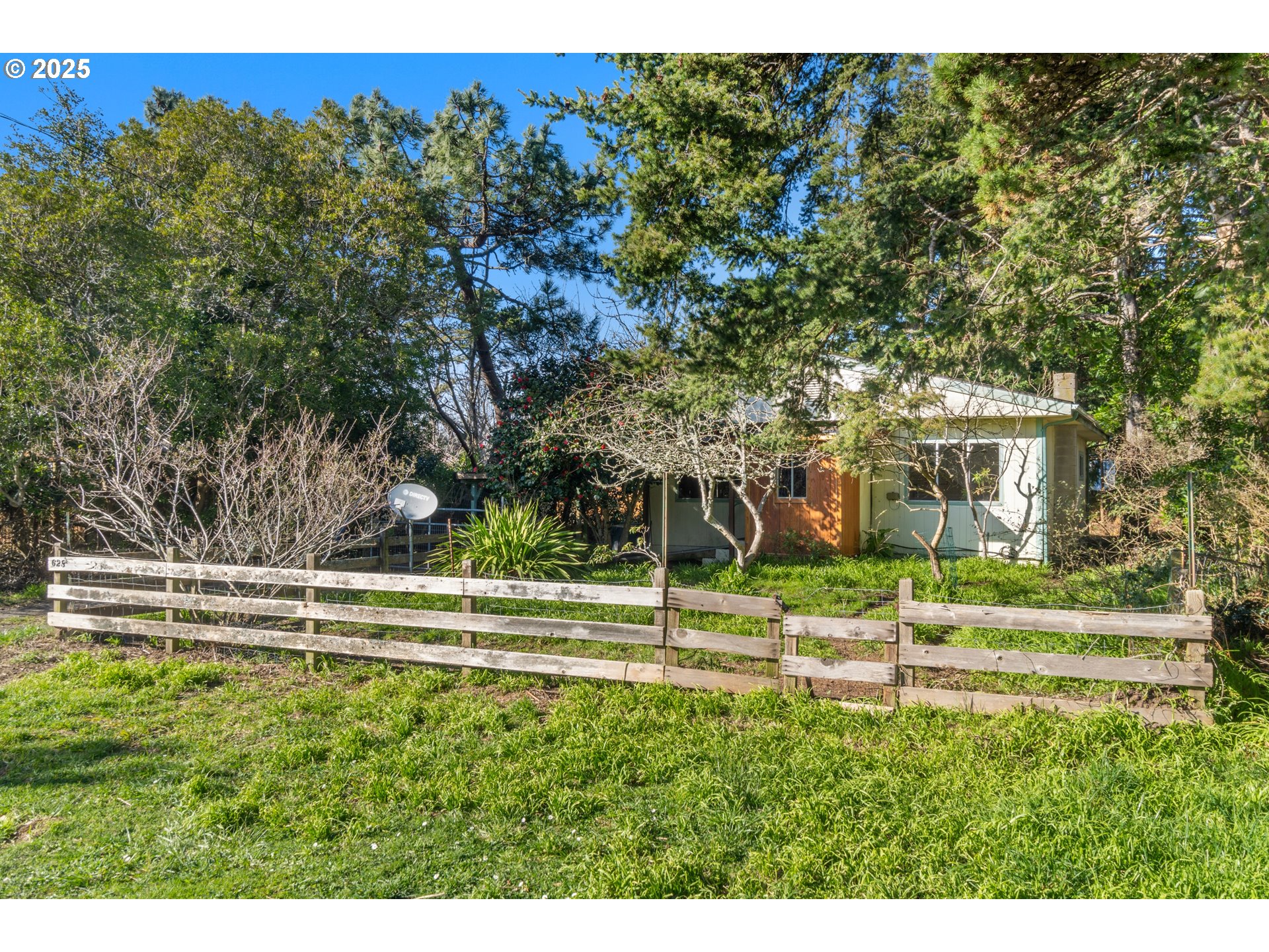 628 13th Street Port Orford, OR 97465 - Photo 4 of 10 a view of a house in a big yard with plants and large trees