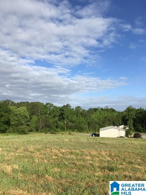 0 Highway 231, Unit 1 5 Oneonta, AL 35121 - Photo 3 of 23