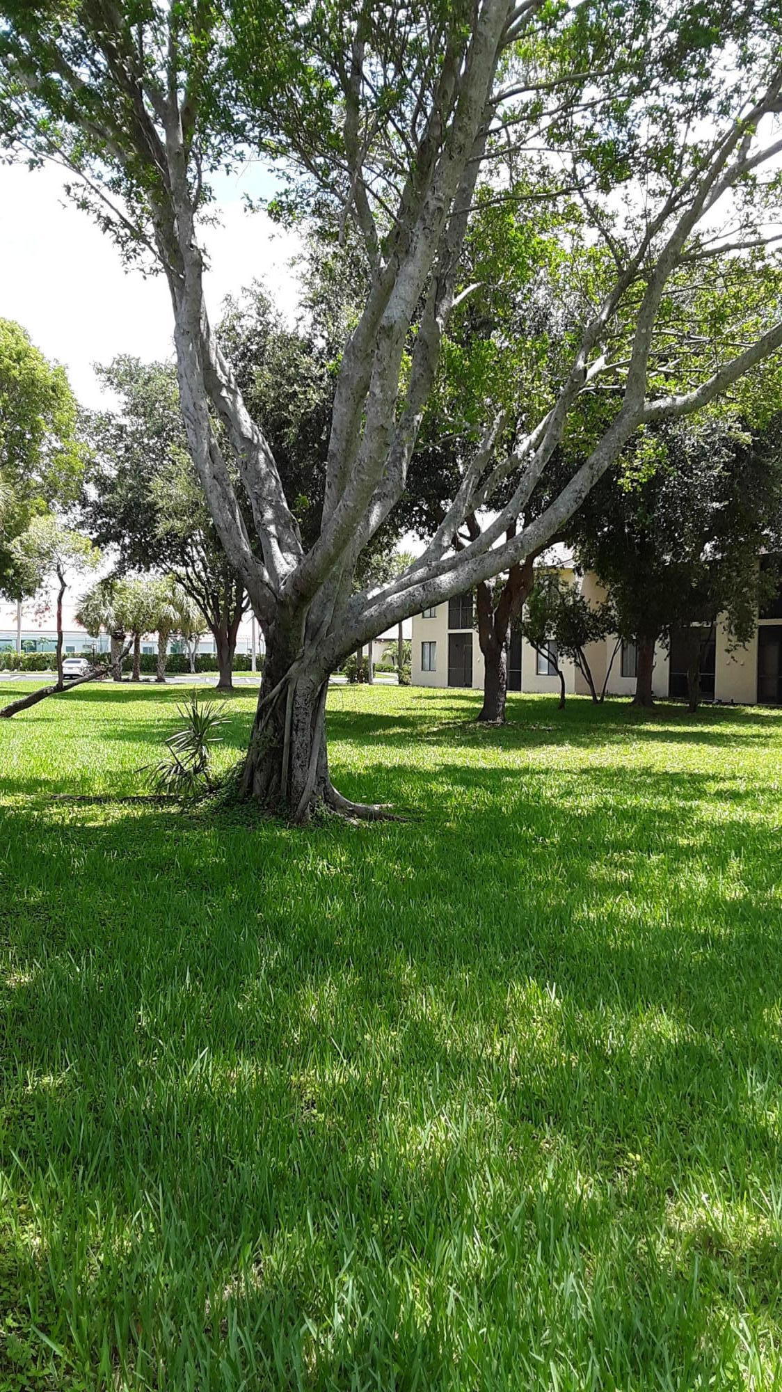 21938 Remsen Terrace, Unit D108 Boca Raton, FL 33433 - Photo 6 of 7 20190614_121517