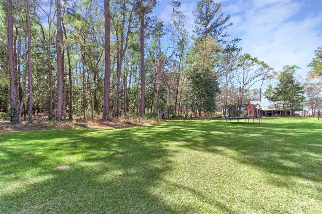 3064 Little McCall Road Guyton, GA 31312 - Photo 63 of 64