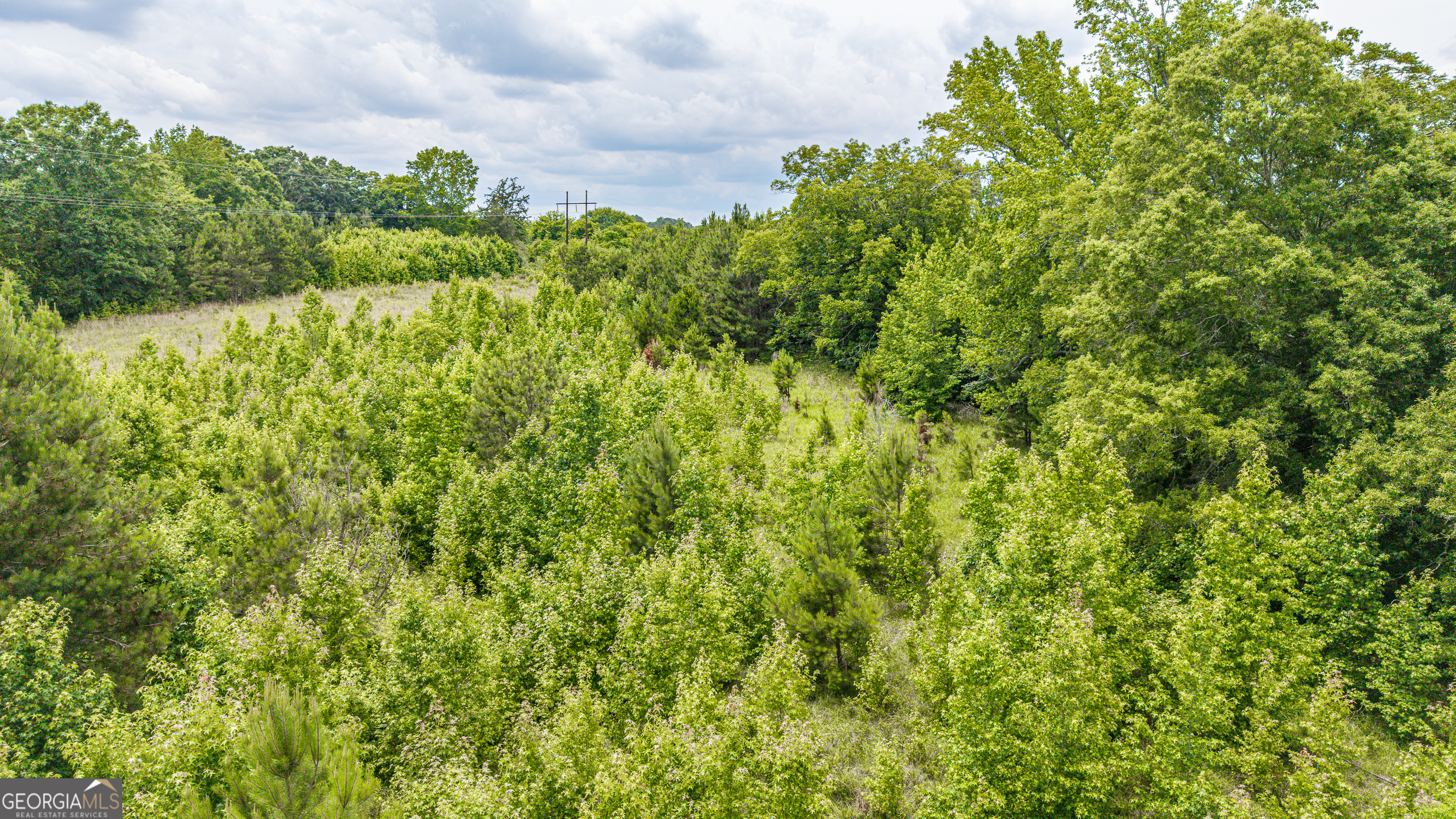 0 Washington Highway Union Point, GA 30669 - Photo 22 of 22