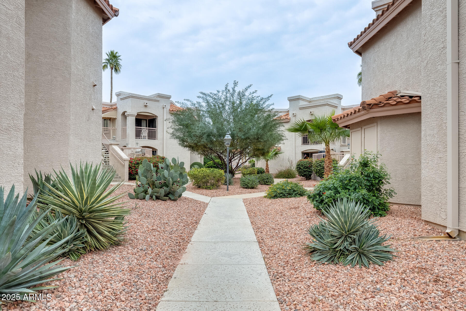 9151 West Greenway Road, Unit 111 Peoria, AZ 85381 - Photo 3 of 45 a house with palm tree in front of it