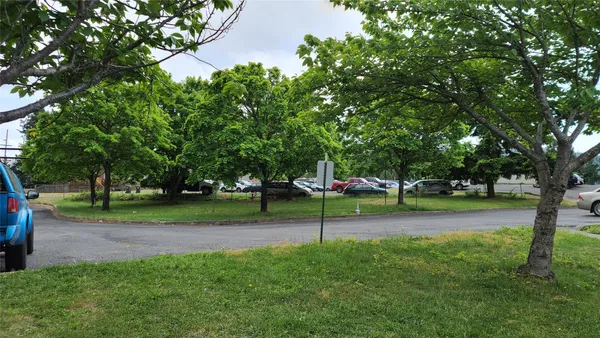 a view of a park with tree s