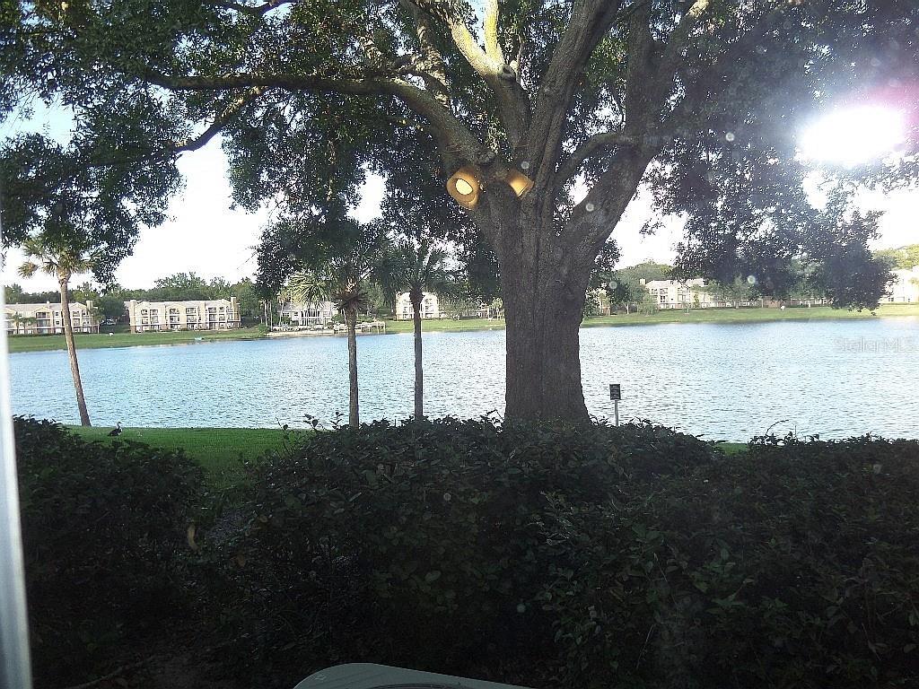 1069 South Hiawassee Road, Unit 1314 Orlando, FL 32835 - Photo 1 of 1 a view of lake with tree in the background
