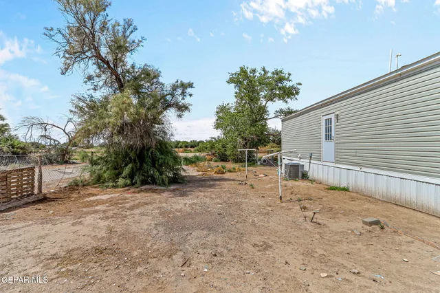 a view of backyard with large trees