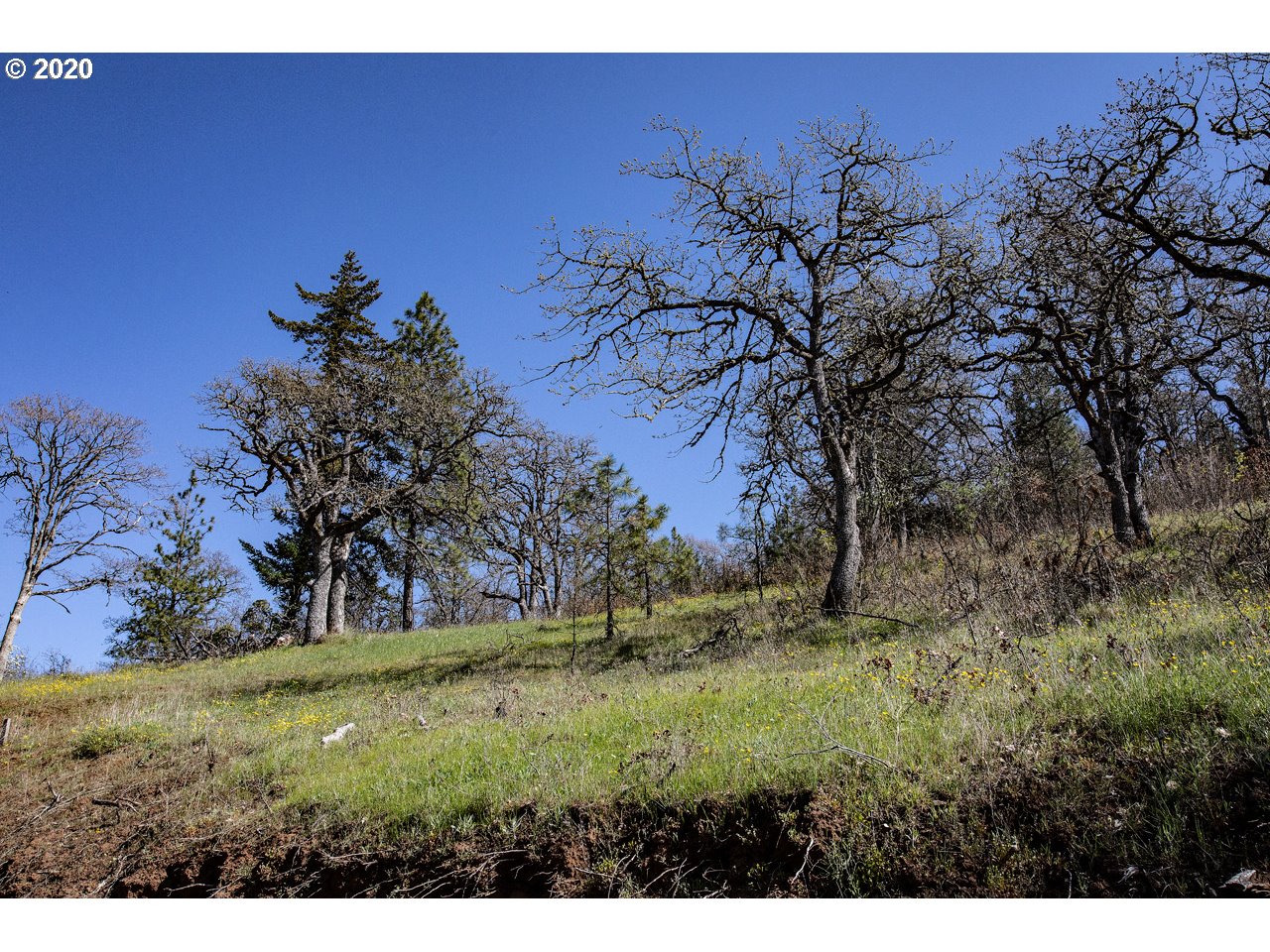 5th Avenue, Unit 29 Mosier, OR 97040 - Photo 15 of 18 Gallery Image 15