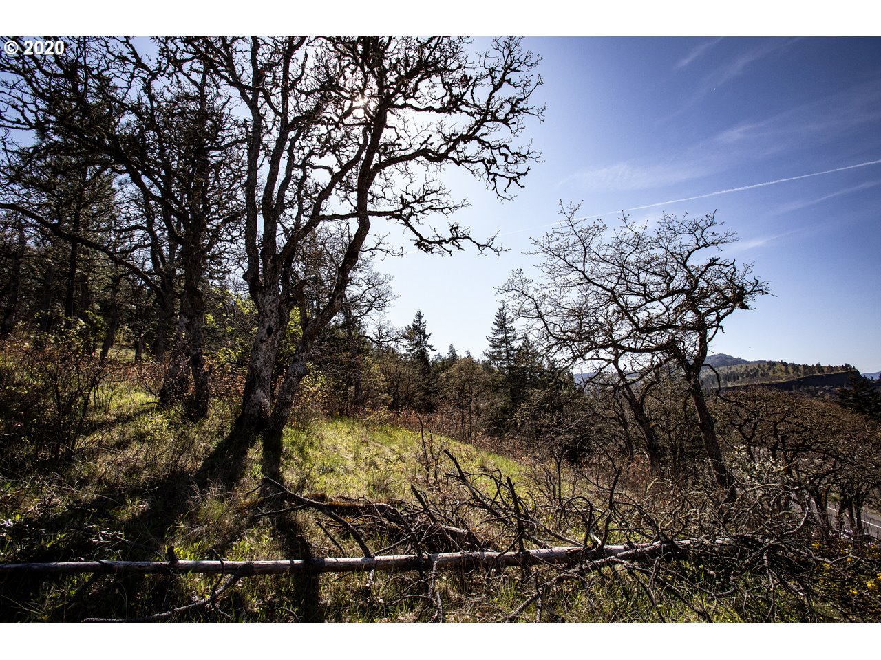 5th Avenue, Unit 29 Mosier, OR 97040 - Photo 17 of 18 Gallery Image 17
