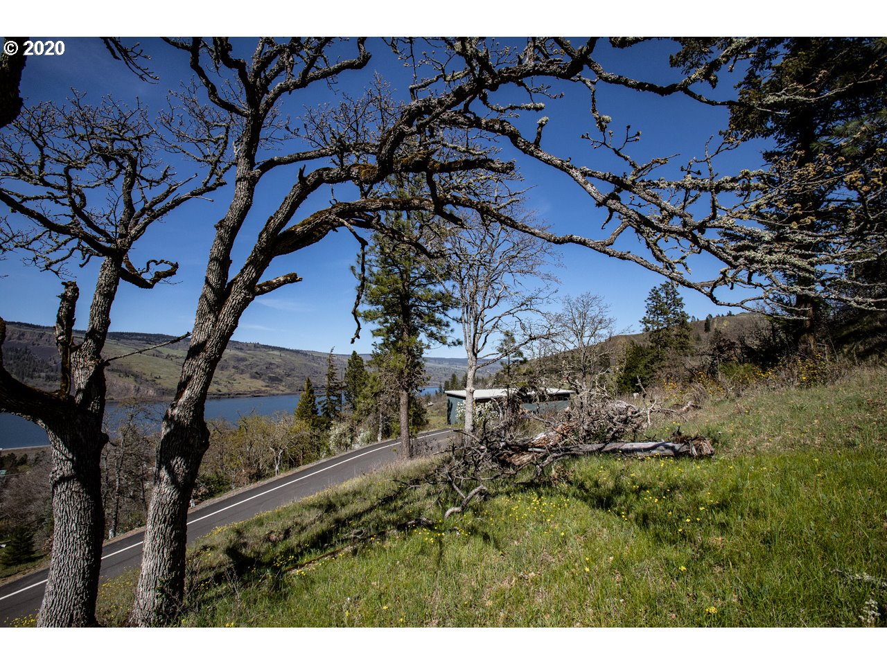 5th Avenue, Unit 29 Mosier, OR 97040 - Photo 7 of 18 Gallery Image 7