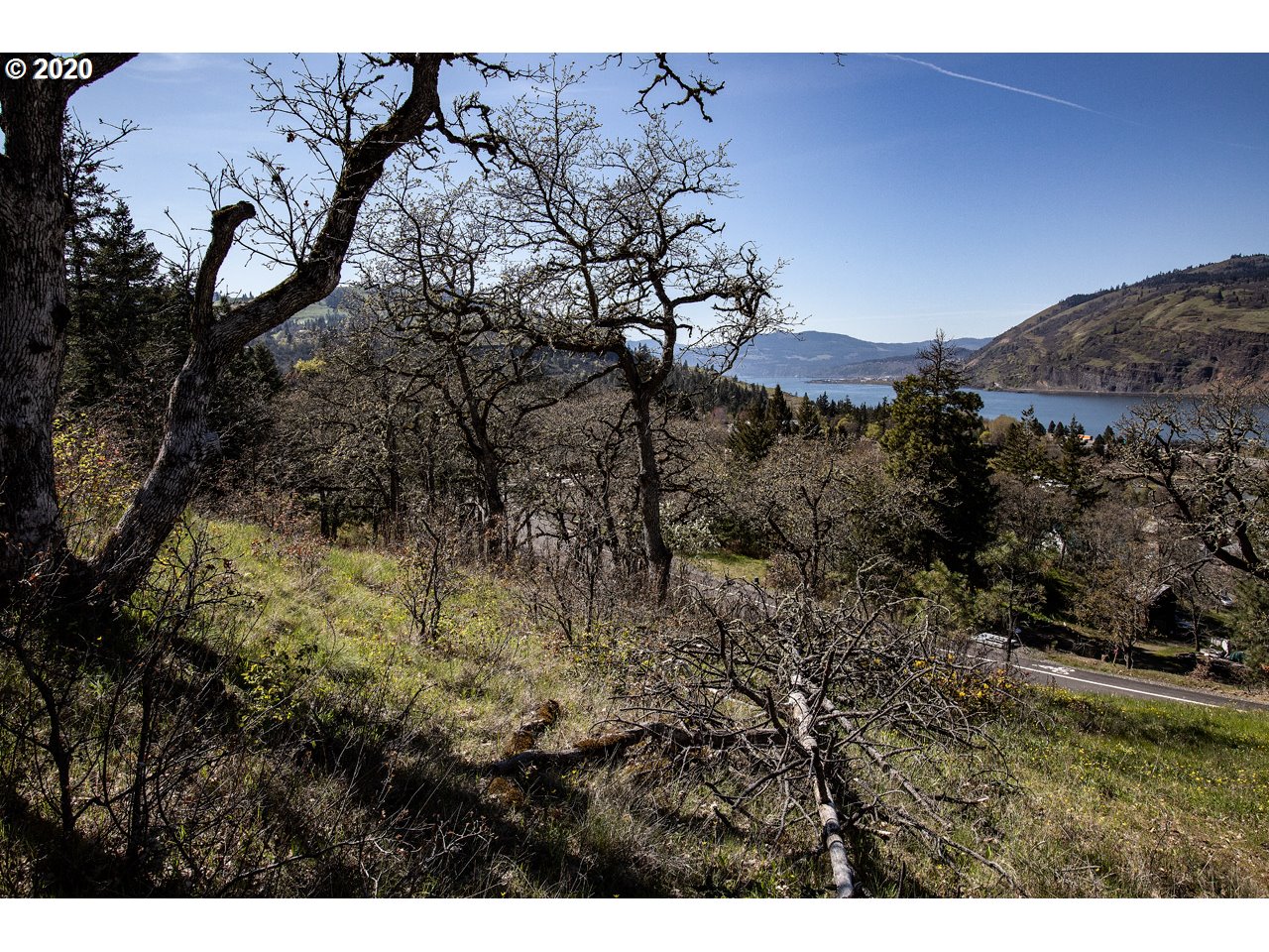 5th Avenue, Unit 29 Mosier, OR 97040 - Photo 8 of 18 Gallery Image 8