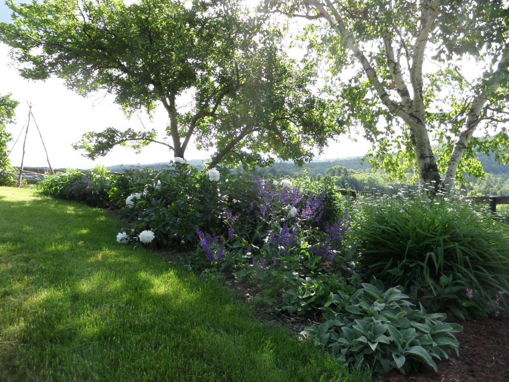 342 Swift Road Newbury, VT 05069 - Photo 19 of 22
