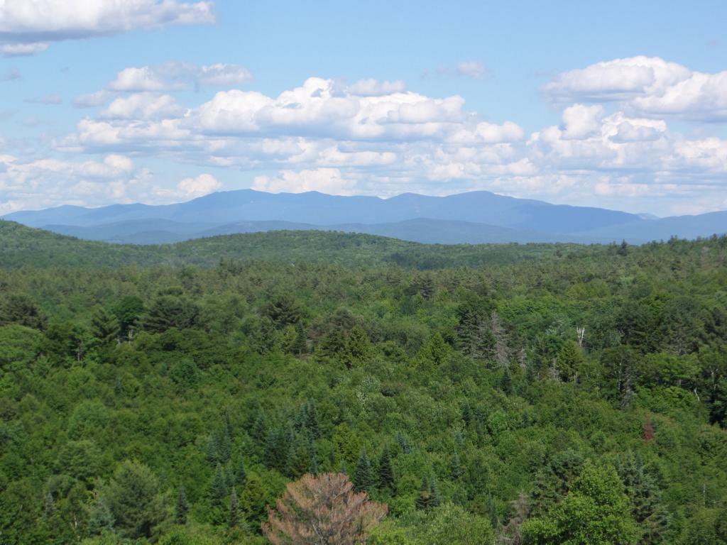 342 Swift Road Newbury, VT 05069 - Photo 22 of 22