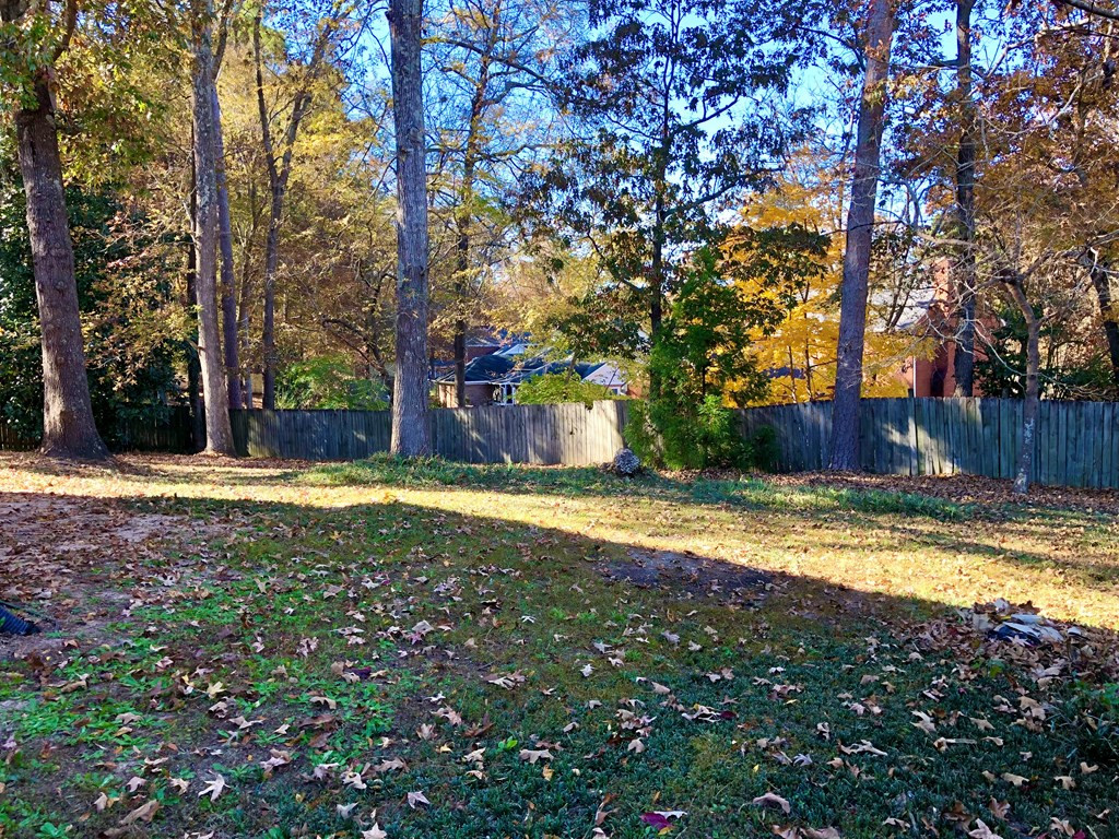 317 Gloucester Road Martinez, GA 30907 - Photo 23 of 23