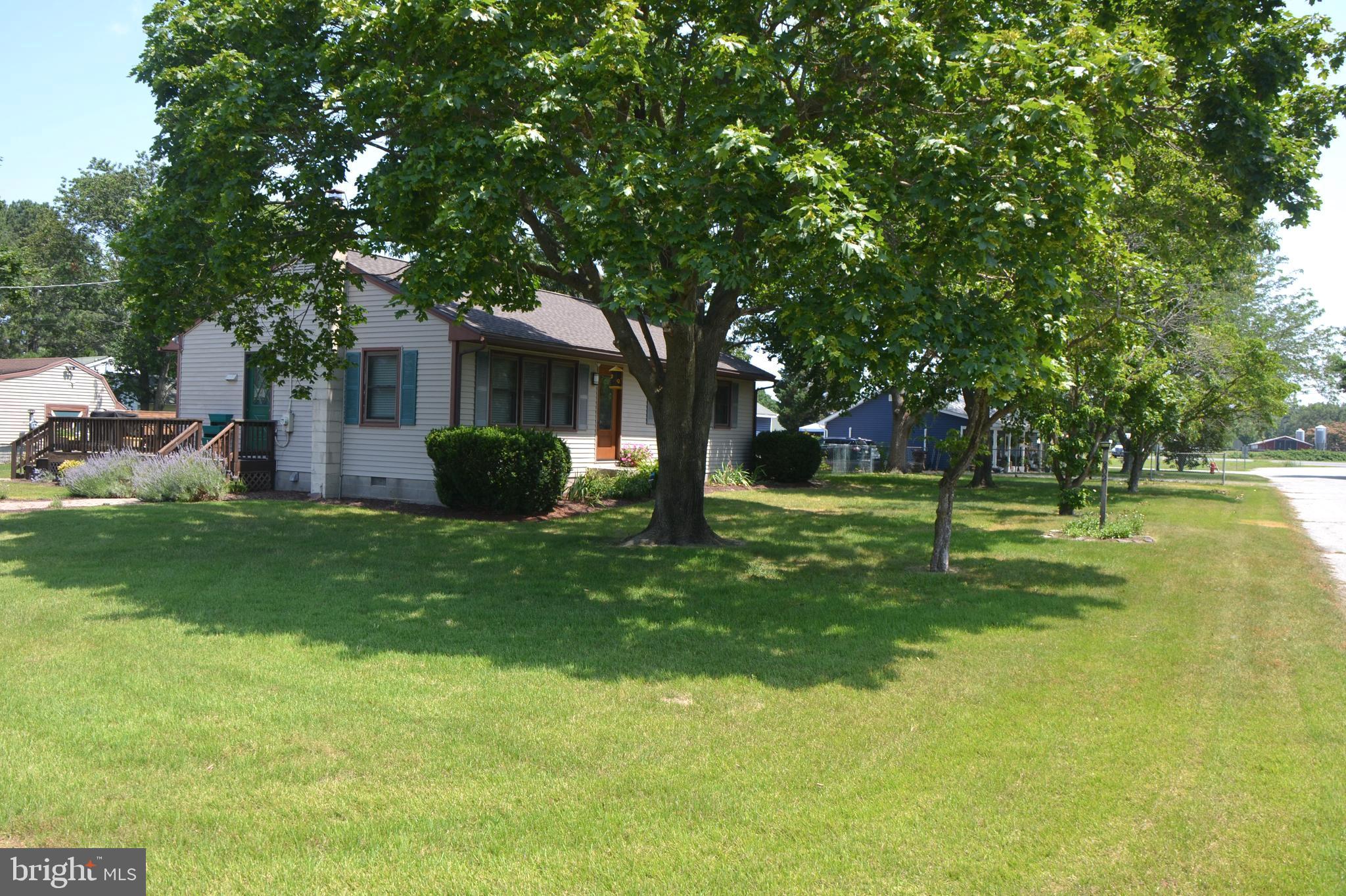 202 Joe Morgan Road Sharptown, MD 21861 - Photo 3 of 43 Exterior Side
