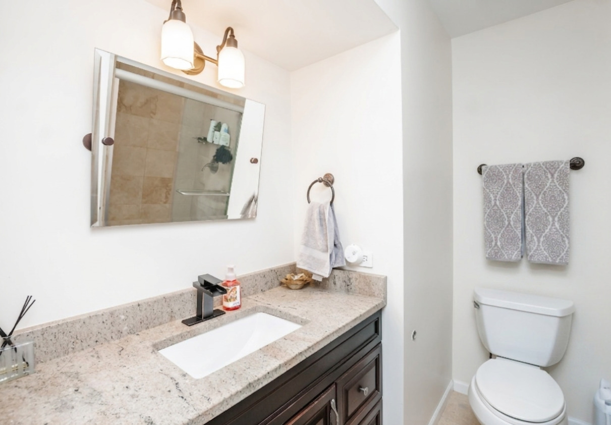 1139 West Roscoe Street Chicago, IL 60657 - Photo 18 of 28 a bathroom with a granite countertop sink and a mirror