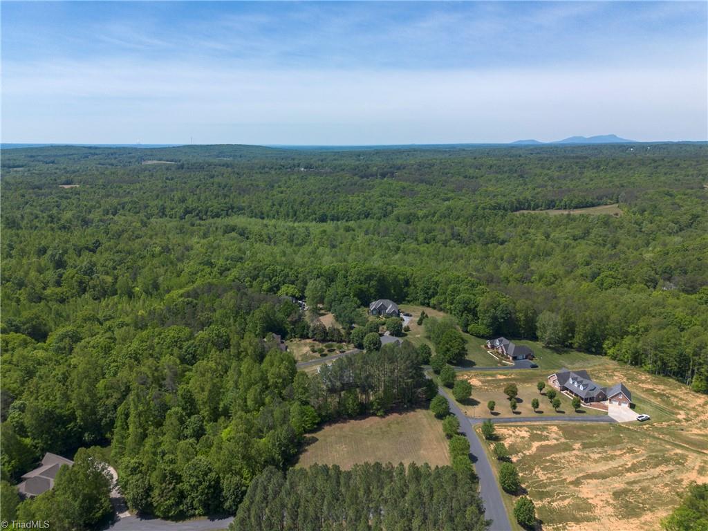 0 Mossdale Road Stoneville, NC 27048 - Photo 33 of 34