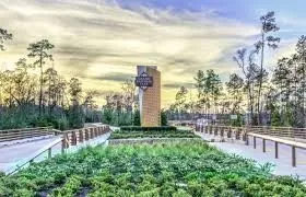 a view of a garden