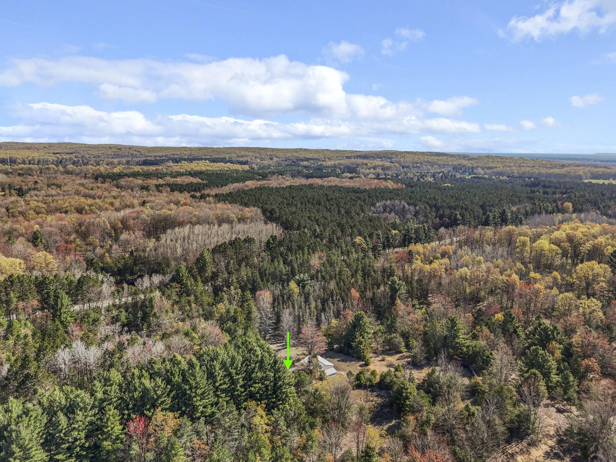 15367-10 Acres Wallin Road Thompsonville, MI 49683 - Photo 43 of 46
