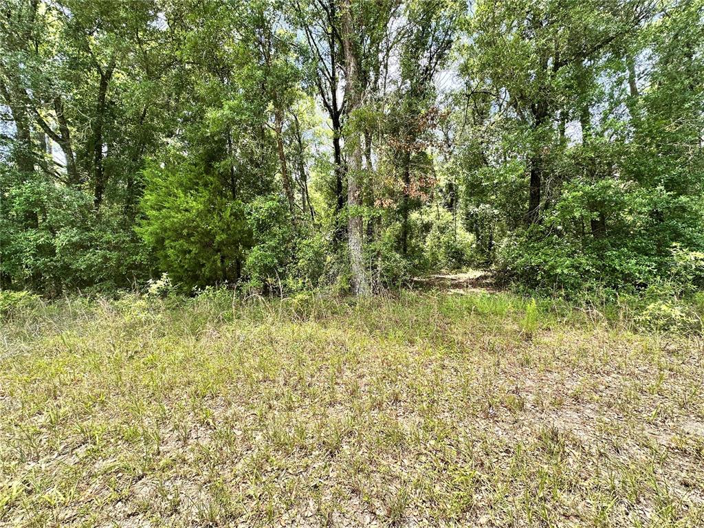 349 North County Road O'Brien, FL 32071 - Photo 13 of 13