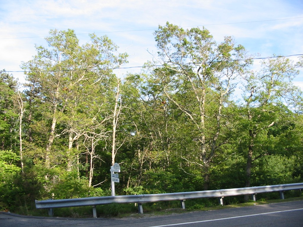 2004 State Road Plymouth, MA 02360 - Photo 1 of 6 Gallery Image 1