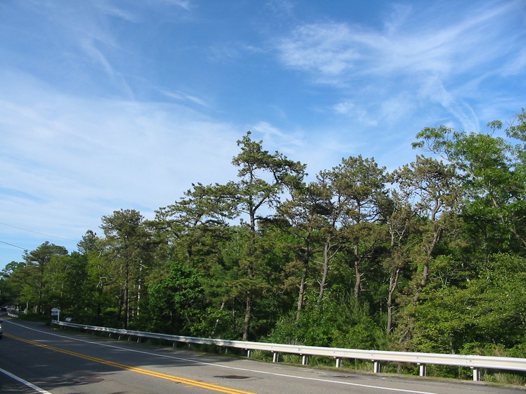 2004 State Road Plymouth, MA 02360 - Photo 3 of 6 Gallery Image 3