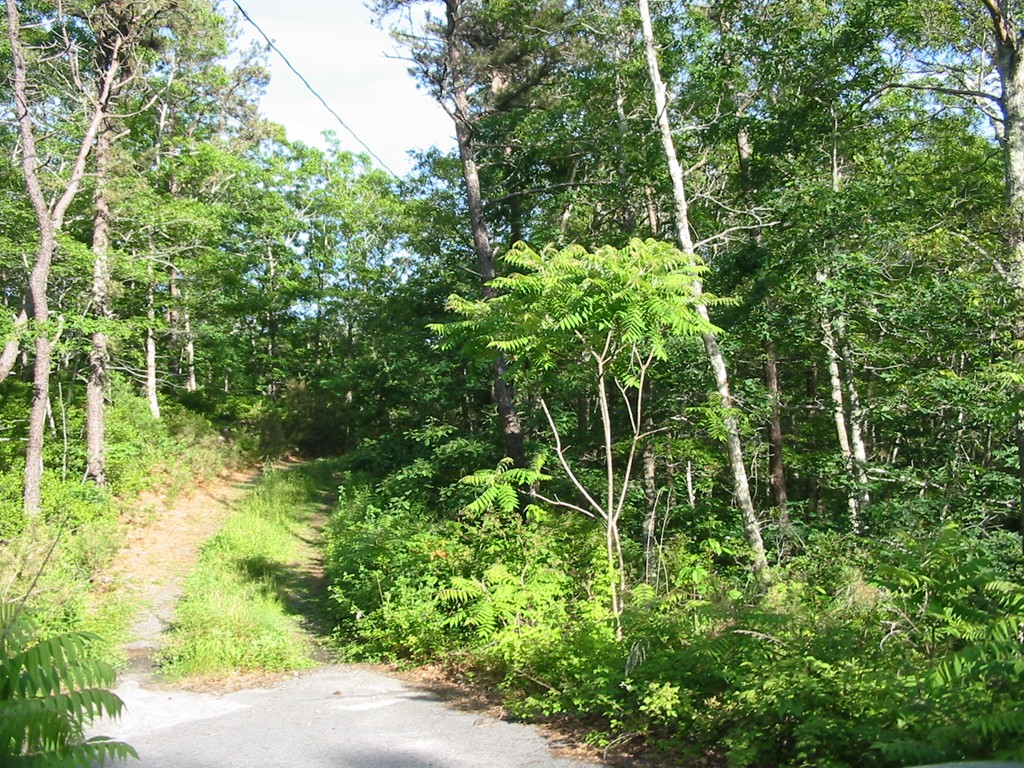 2004 State Road Plymouth, MA 02360 - Photo 4 of 6 Gallery Image 4