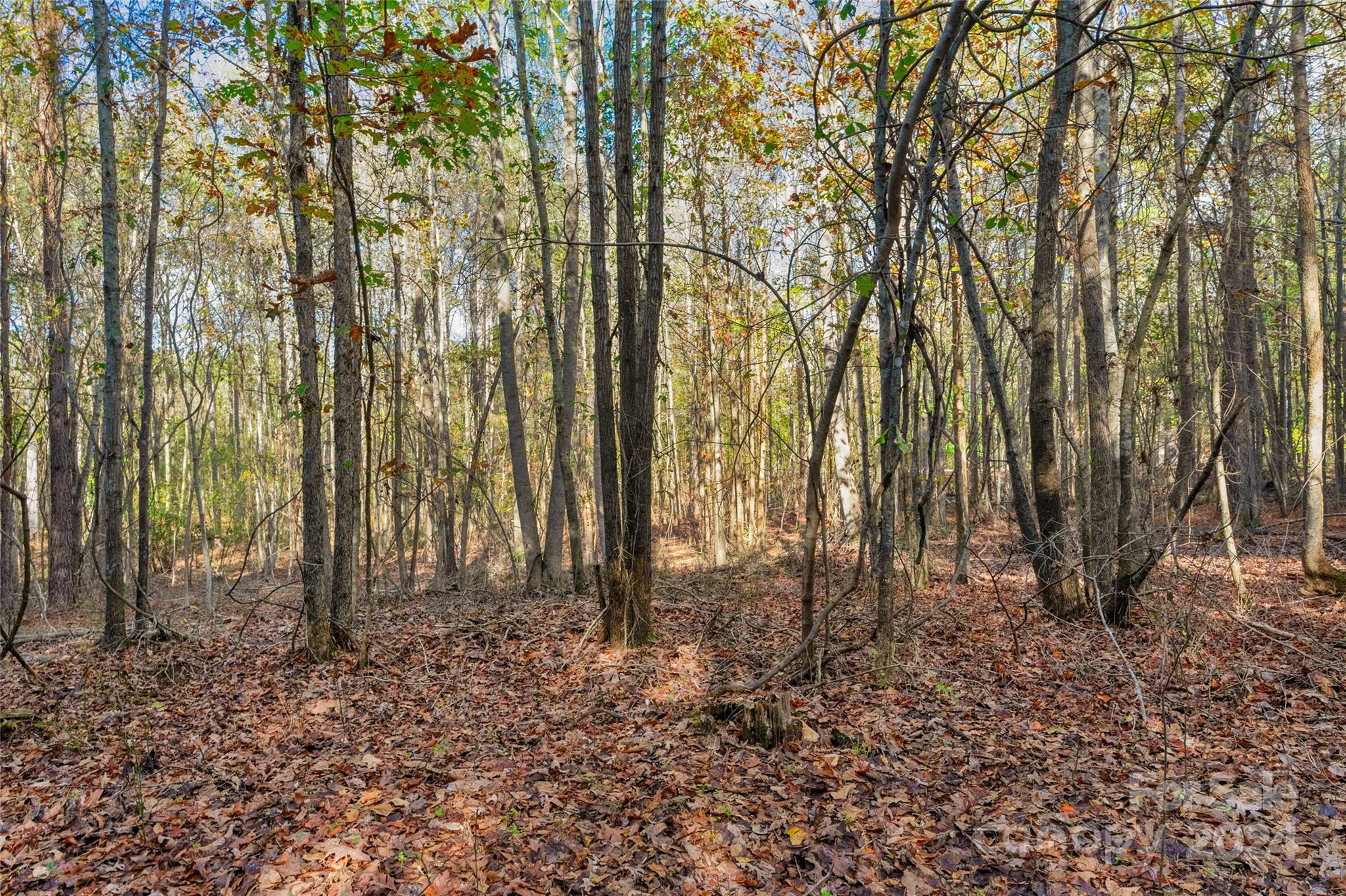 0 Coldstream Road, Unit 2 Heath Springs, SC 29058 - Photo 11 of 26 Gallery Image 11