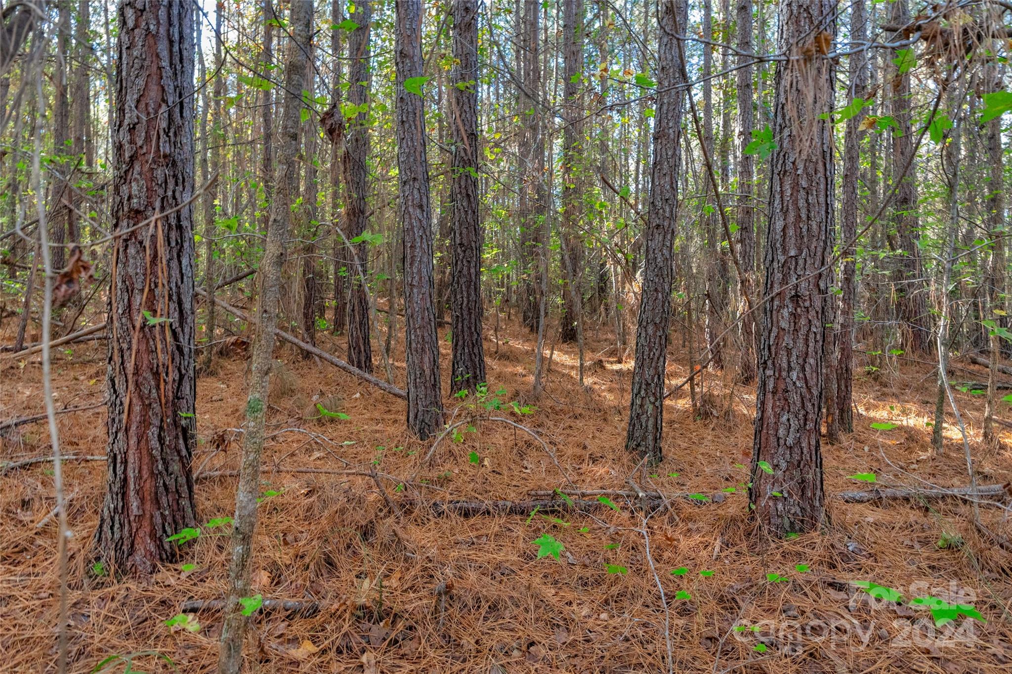0 Coldstream Road, Unit 2 Heath Springs, SC 29058 - Photo 12 of 26 Gallery Image 12