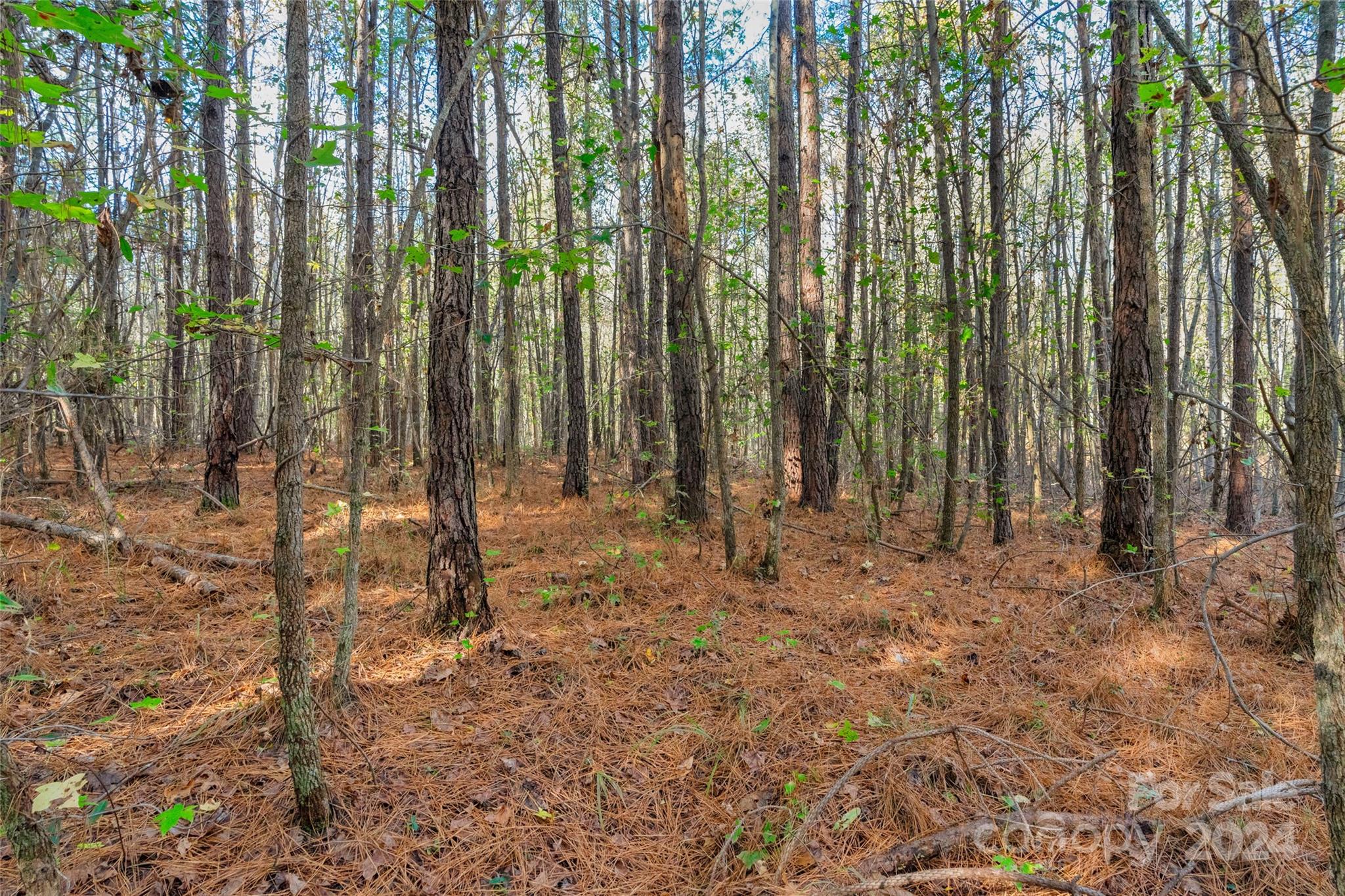 0 Coldstream Road, Unit 2 Heath Springs, SC 29058 - Photo 13 of 26 Gallery Image 13