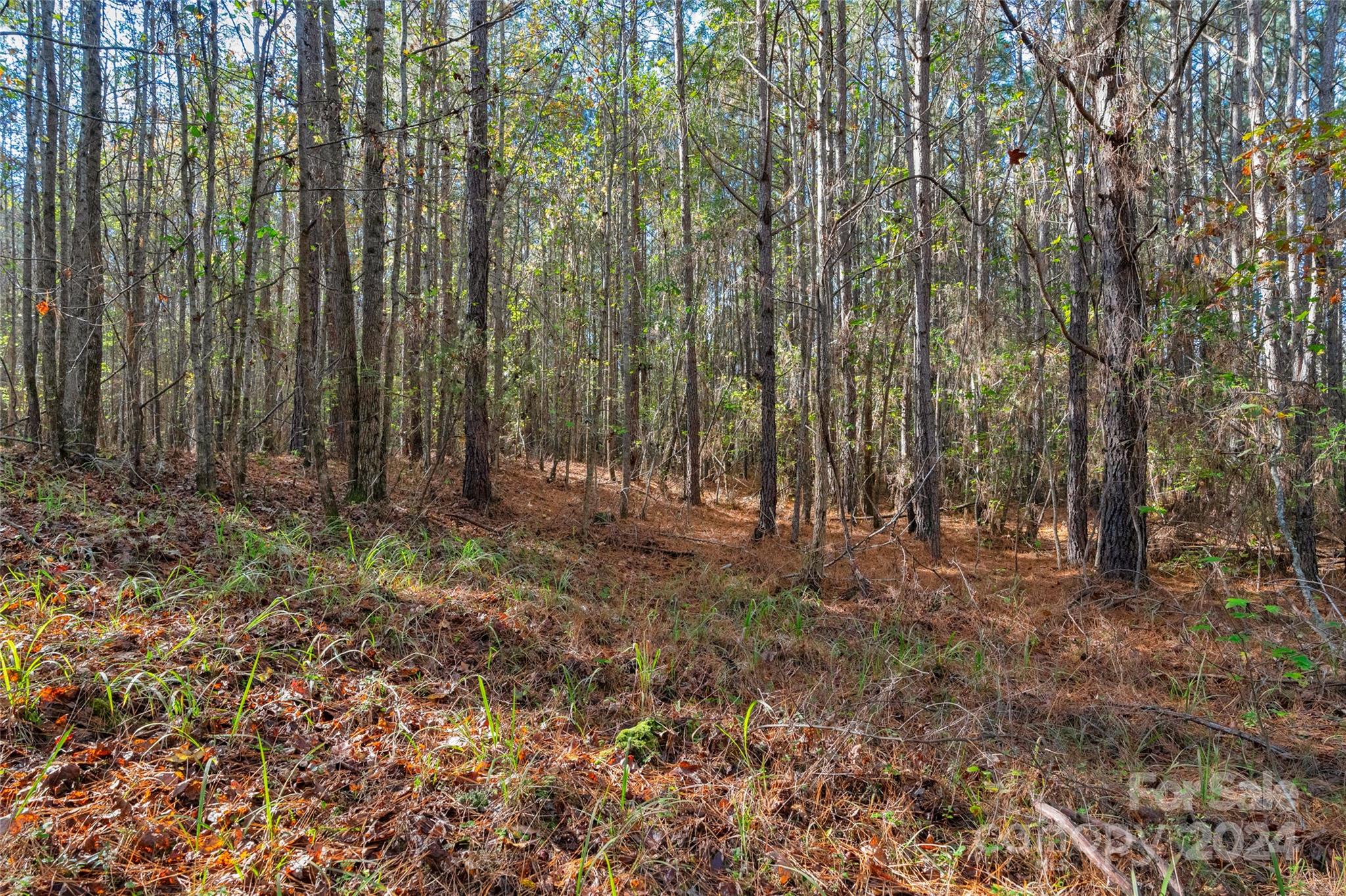 0 Coldstream Road, Unit 2 Heath Springs, SC 29058 - Photo 14 of 26 Gallery Image 14