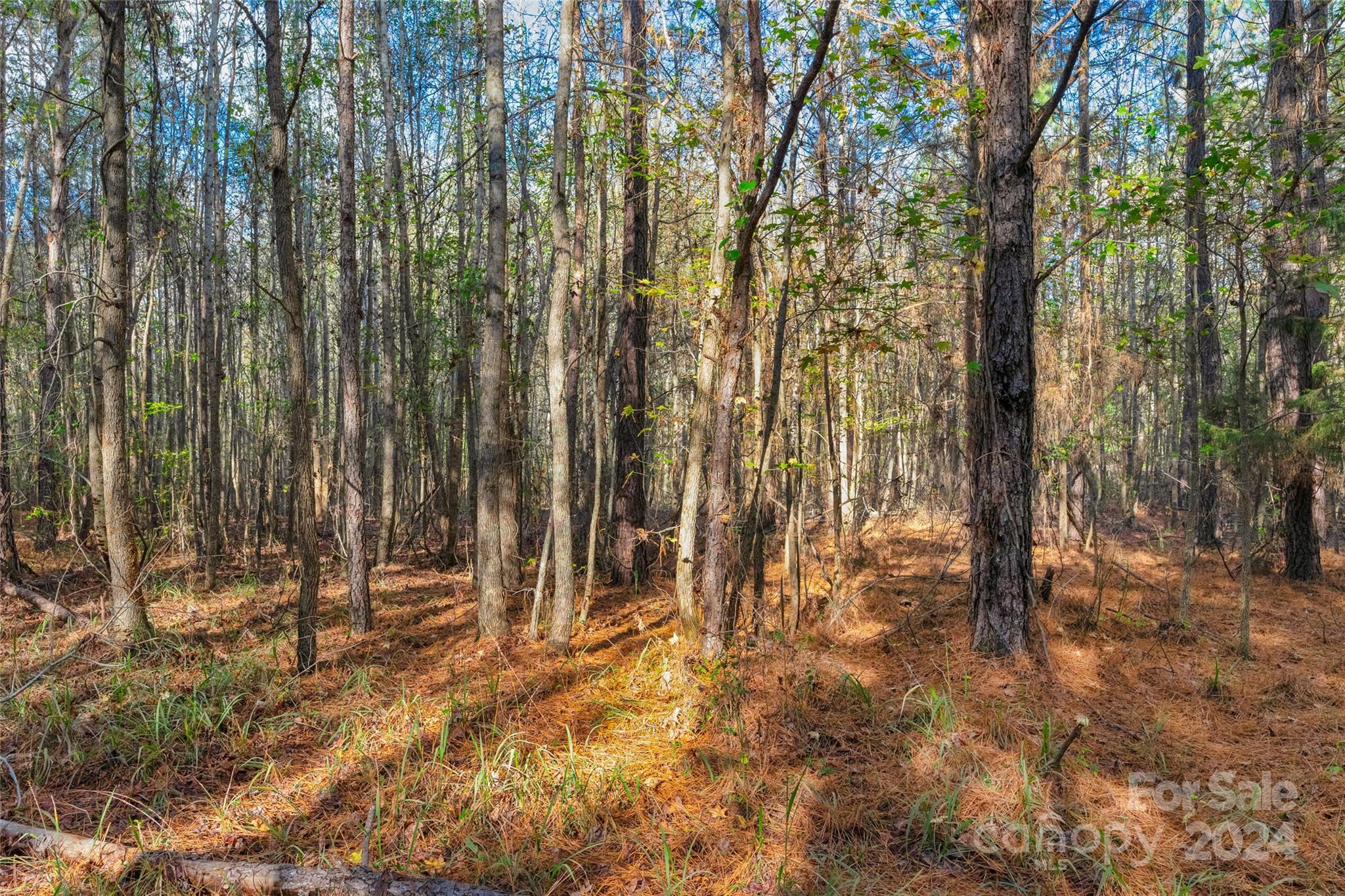 0 Coldstream Road, Unit 2 Heath Springs, SC 29058 - Photo 15 of 26 Gallery Image 15
