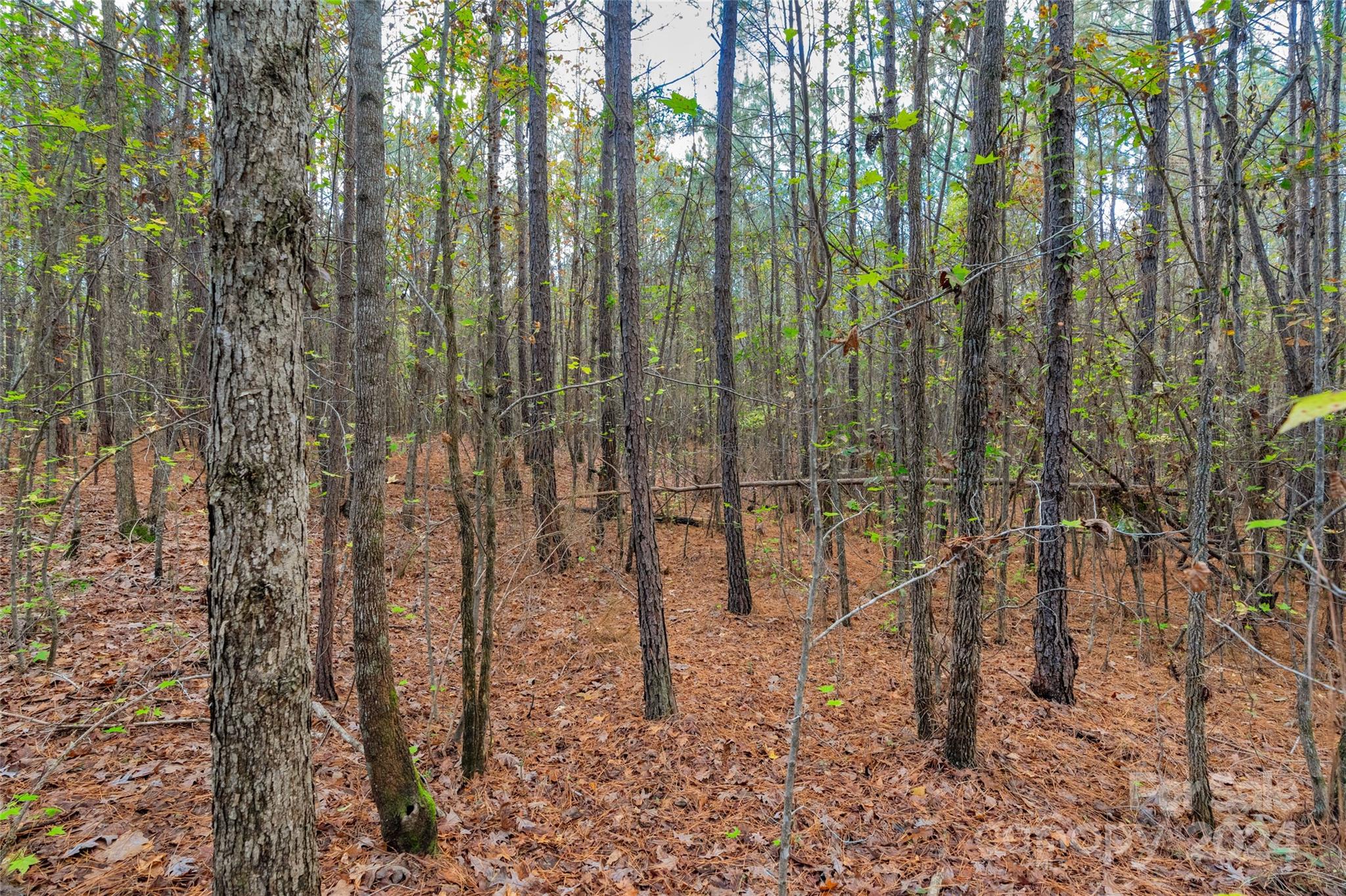 0 Coldstream Road, Unit 2 Heath Springs, SC 29058 - Photo 16 of 26 Gallery Image 16