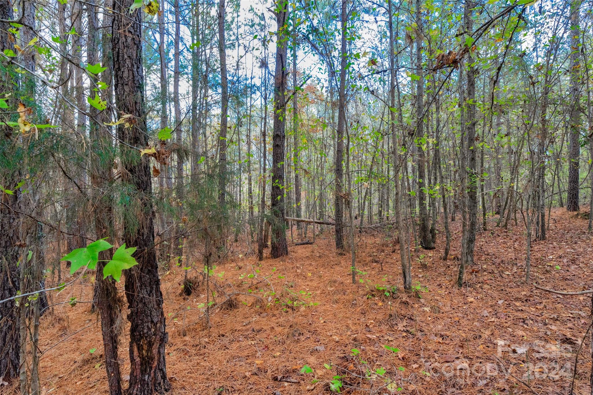 0 Coldstream Road, Unit 2 Heath Springs, SC 29058 - Photo 17 of 26 Gallery Image 17