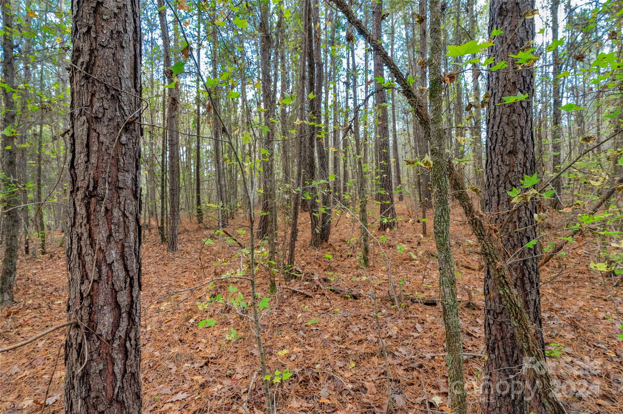0 Coldstream Road, Unit 2 Heath Springs, SC 29058 - Photo 18 of 26 Gallery Image 18