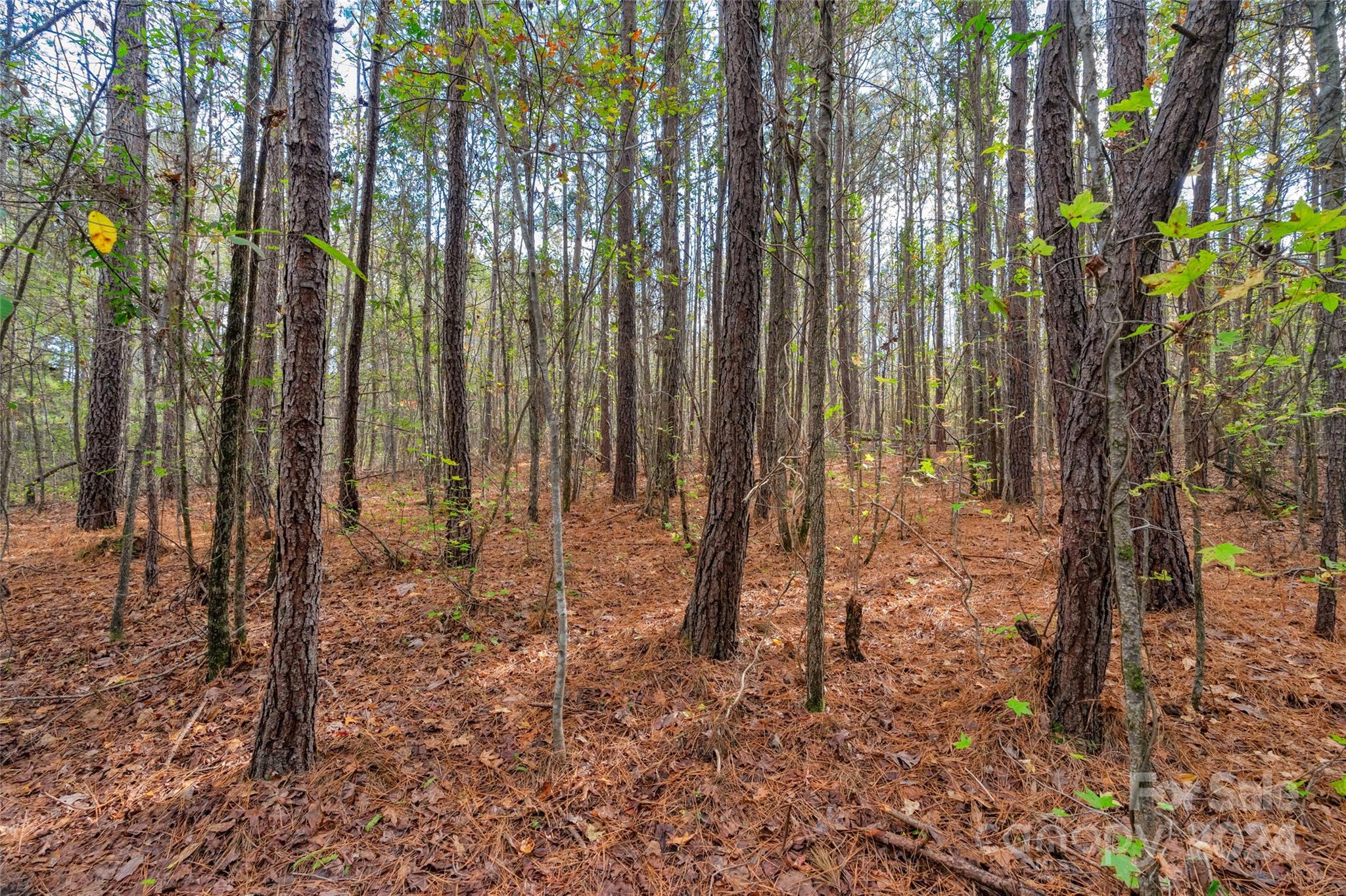 0 Coldstream Road, Unit 2 Heath Springs, SC 29058 - Photo 19 of 26 Gallery Image 19