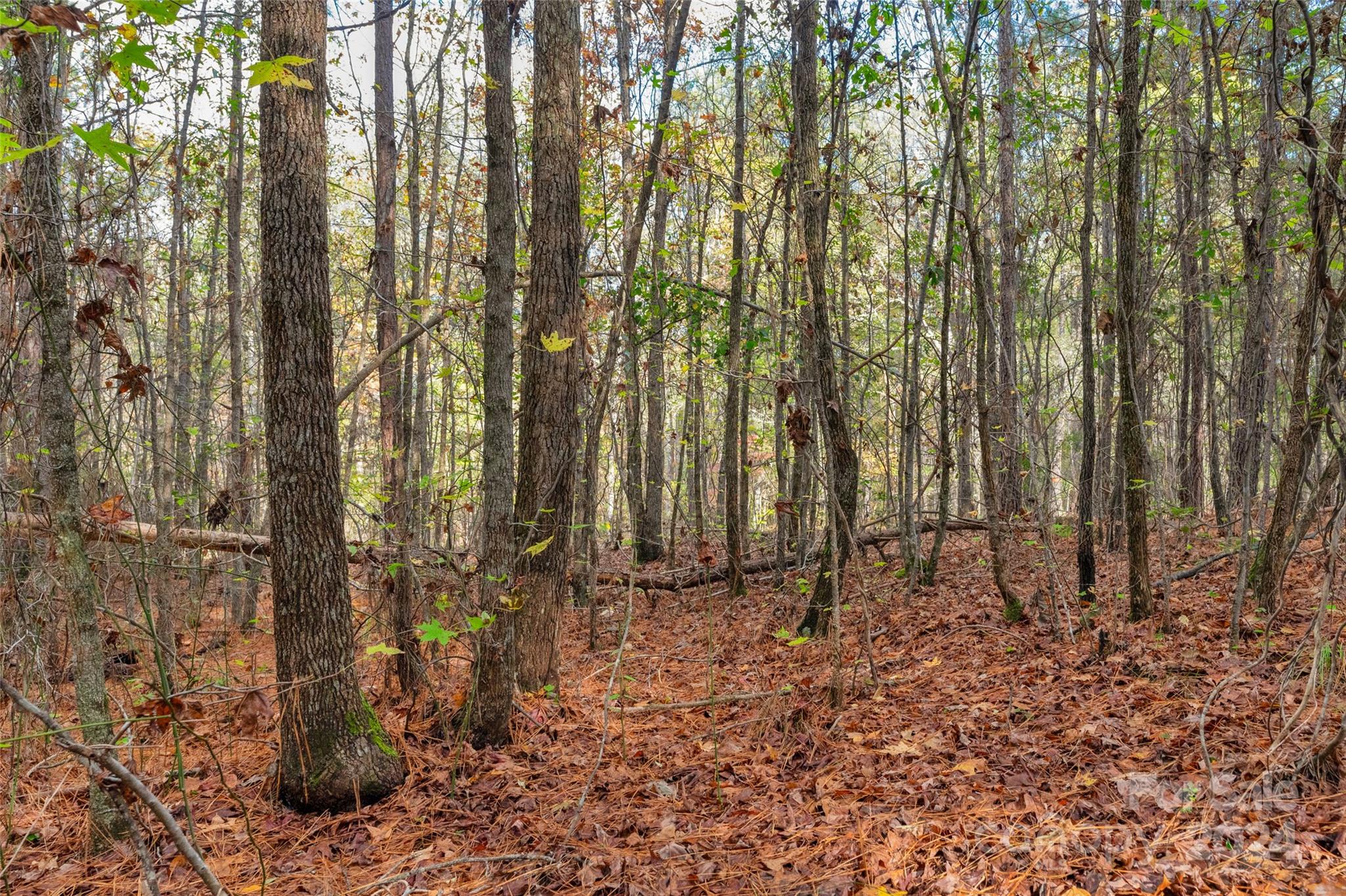 0 Coldstream Road, Unit 2 Heath Springs, SC 29058 - Photo 20 of 26 Gallery Image 20