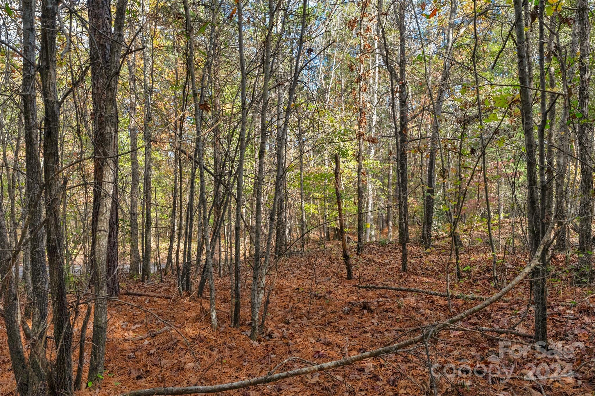 0 Coldstream Road, Unit 2 Heath Springs, SC 29058 - Photo 23 of 26 Gallery Image 23