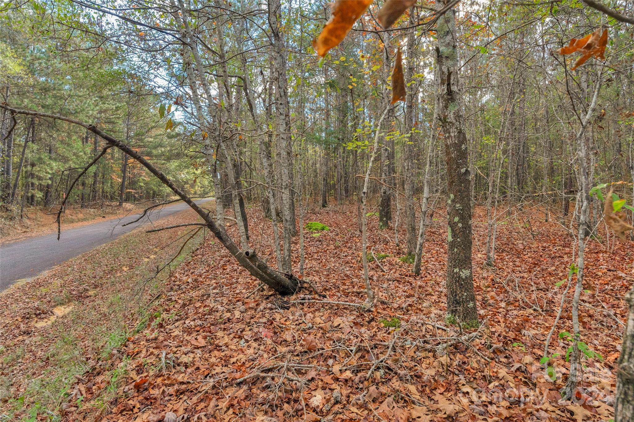 0 Coldstream Road, Unit 2 Heath Springs, SC 29058 - Photo 25 of 26 Gallery Image 25