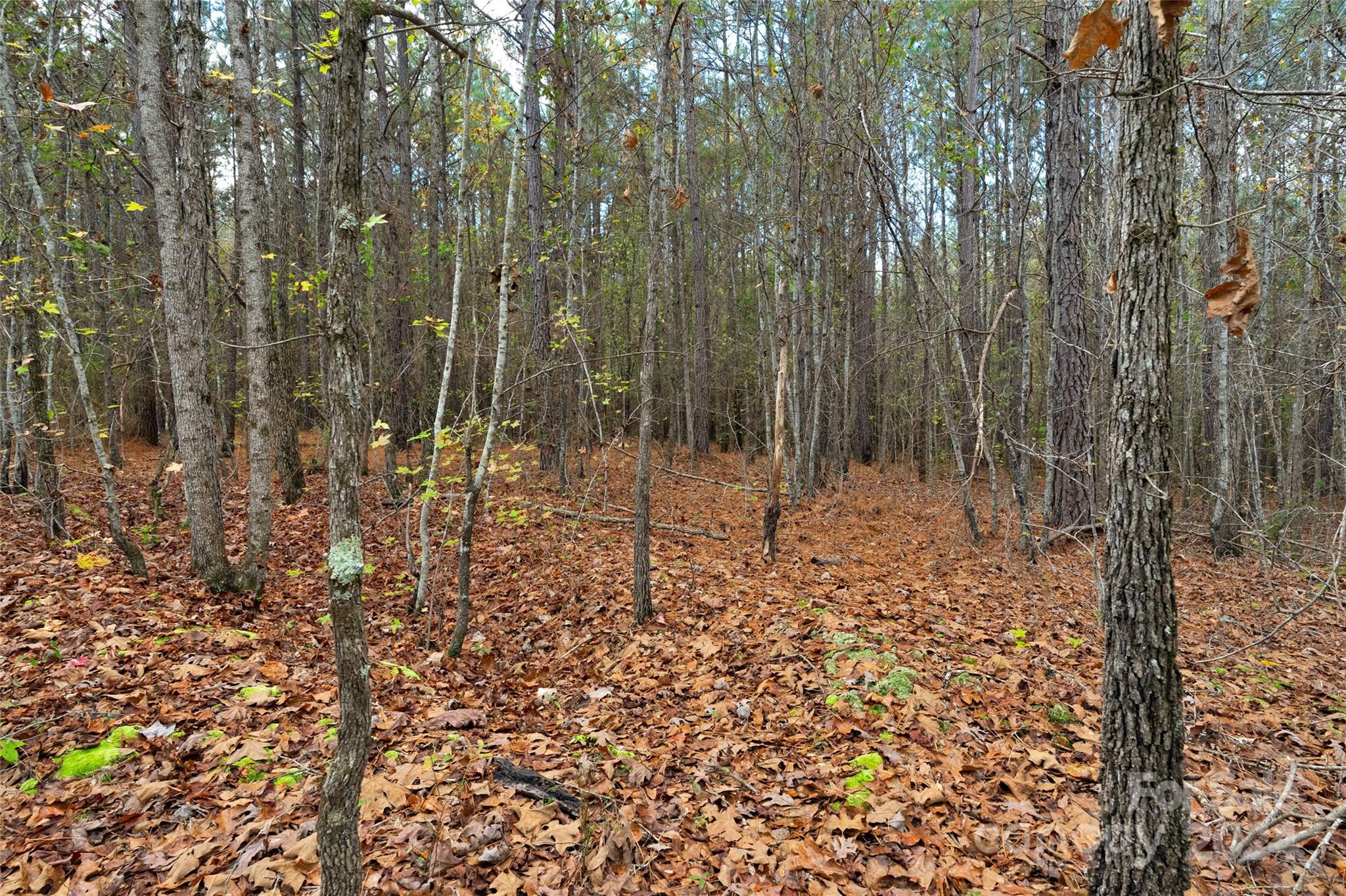 0 Coldstream Road, Unit 2 Heath Springs, SC 29058 - Photo 26 of 26 Gallery Image 26