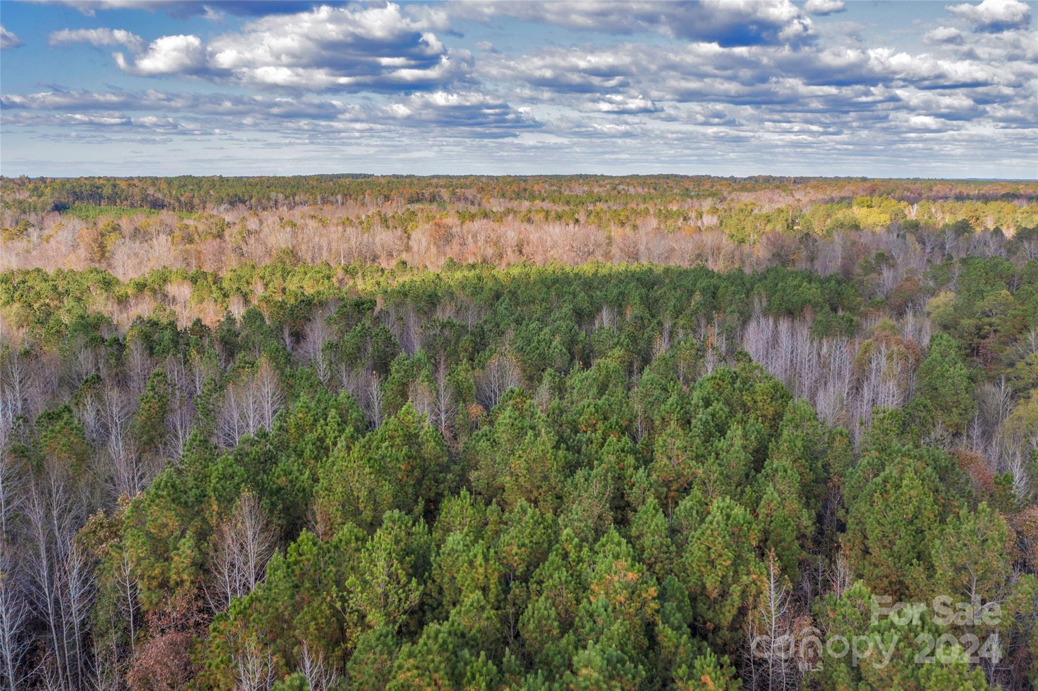 0 Coldstream Road, Unit 2 Heath Springs, SC 29058 - Photo 7 of 26 Gallery Image 7