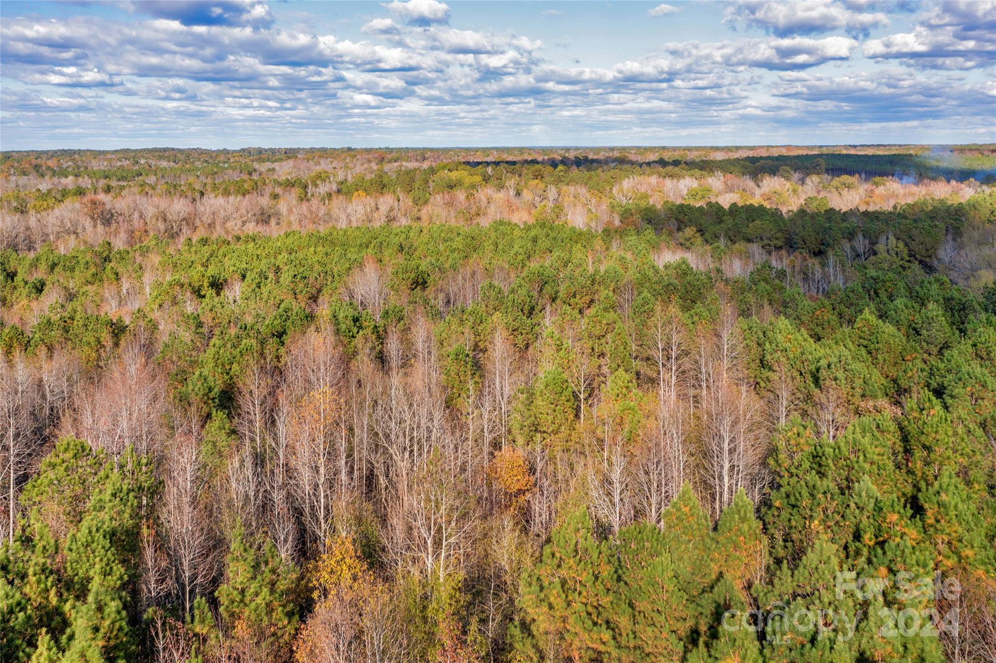 0 Coldstream Road, Unit 2 Heath Springs, SC 29058 - Photo 8 of 26 Gallery Image 8