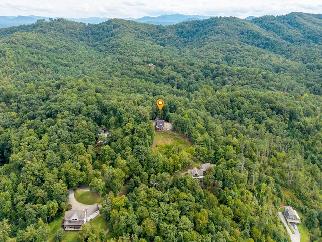 a view of a forest with a houses