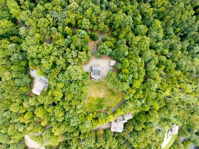 a view of a bunch of trees