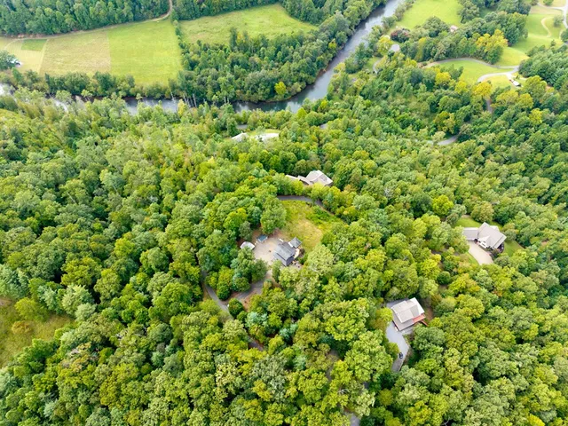 a view of a large yard with plants and large trees