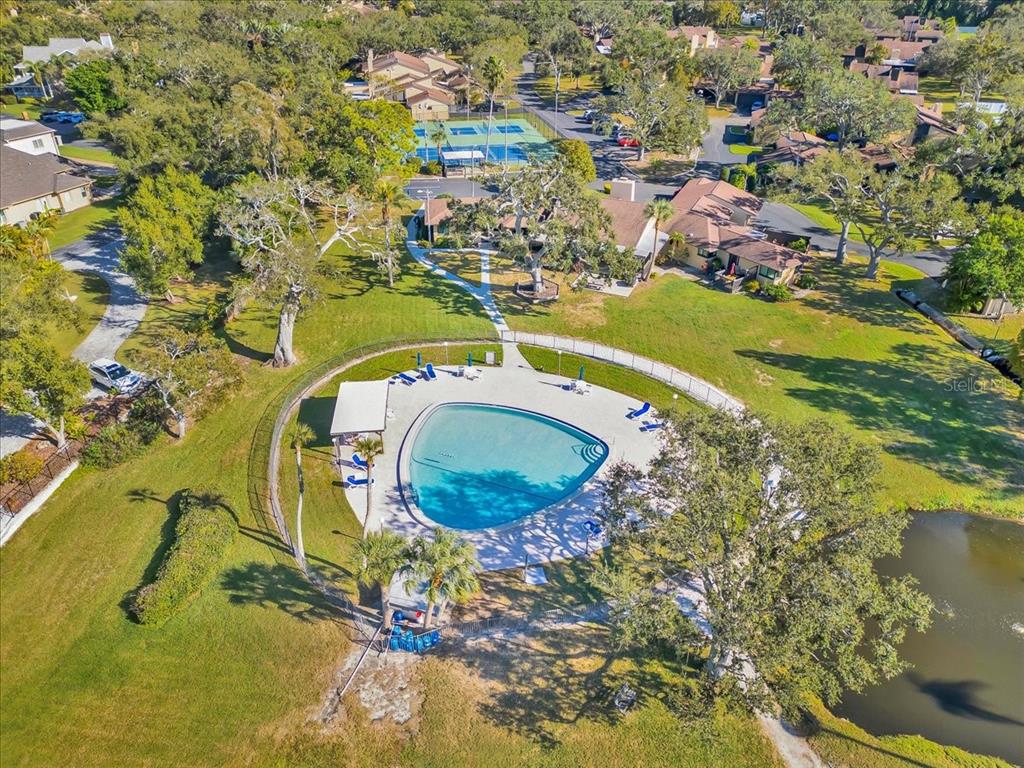 13300 Indian Rocks Road, Unit 103 Largo, FL 33774 - Photo 57 of 62