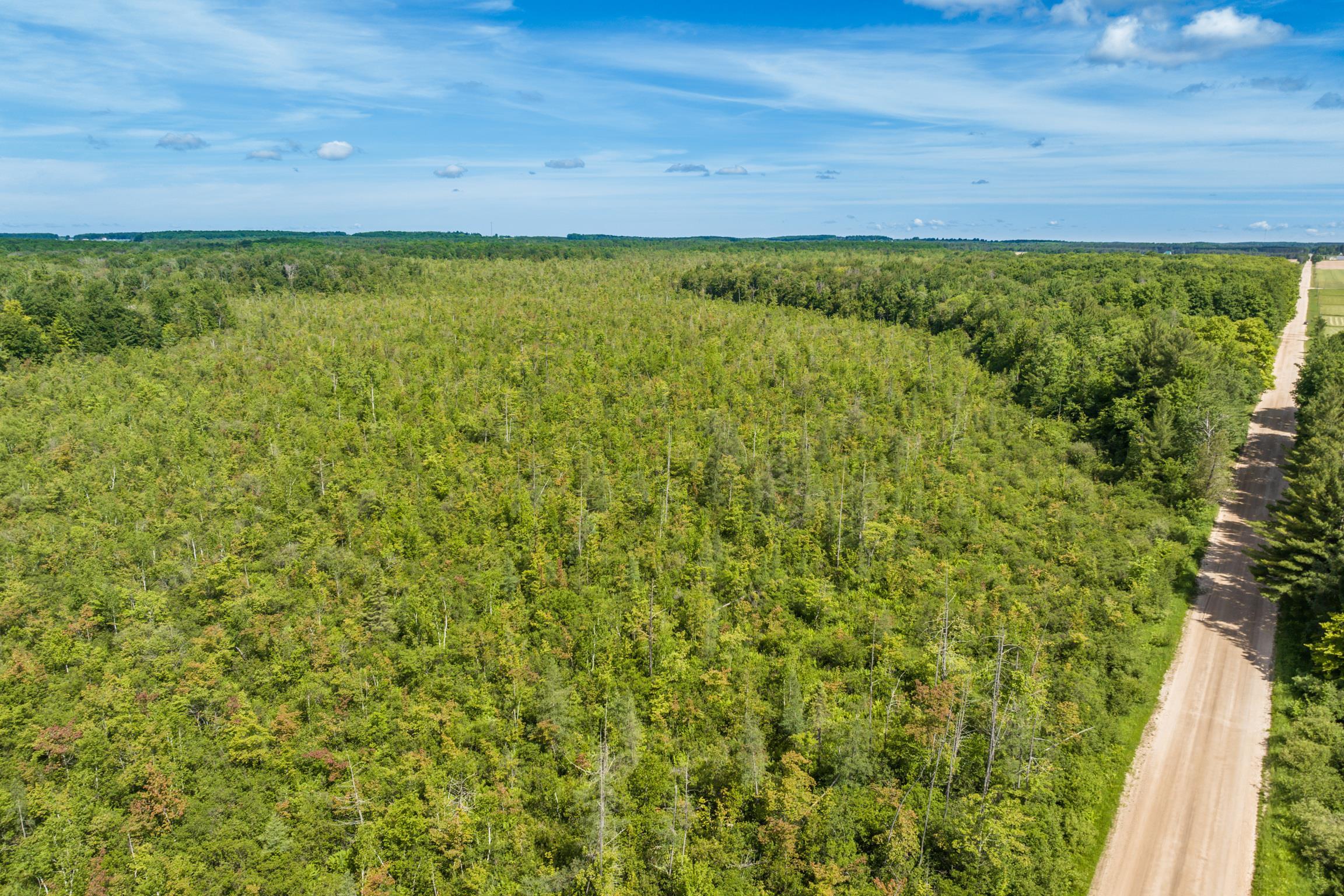 0 North Sharon Road Kalkaska, MI 49646 - Photo 11 of 18