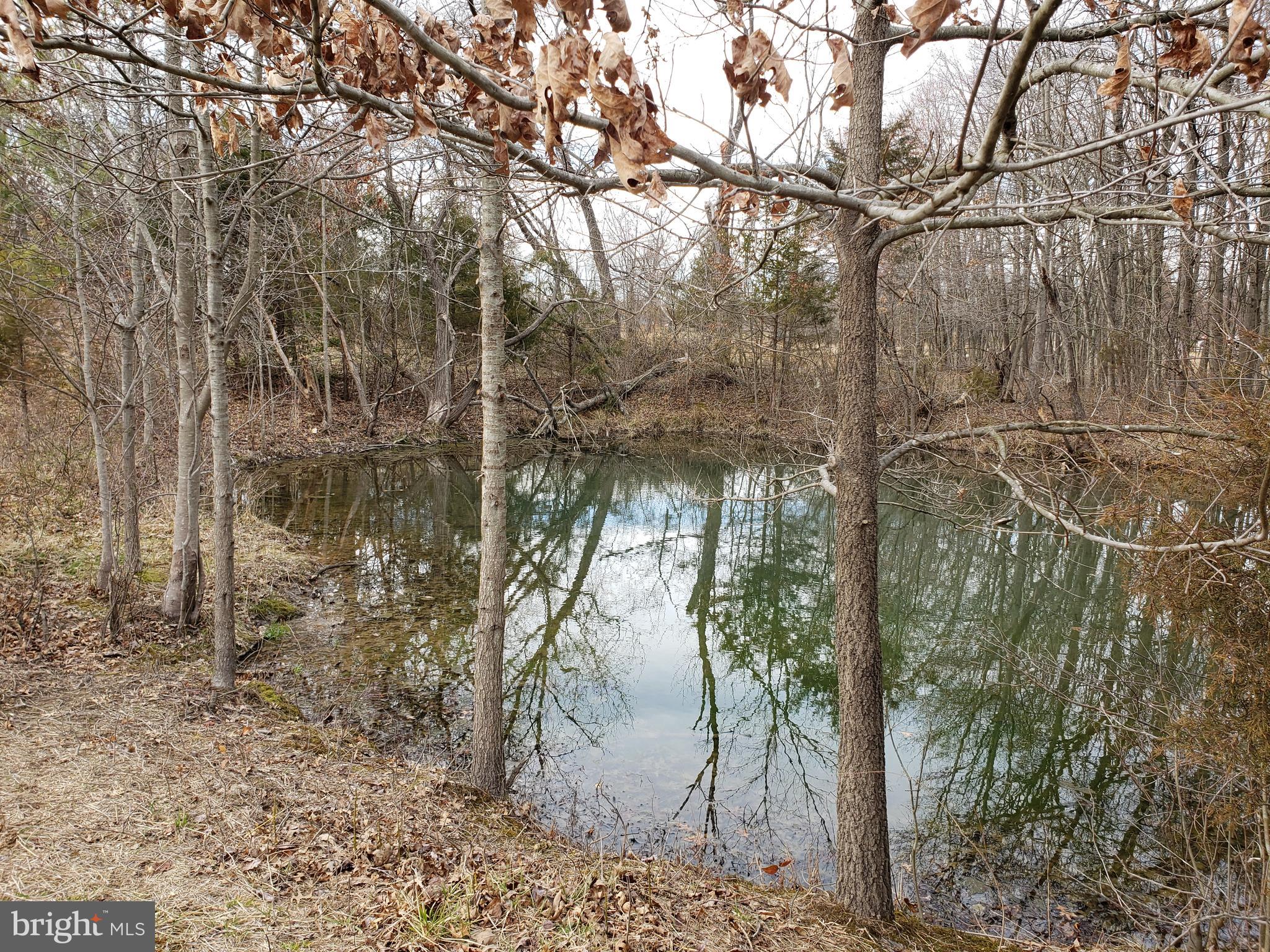 4227 Belvoir Road Marshall, VA 20115 - Photo 40 of 43 Stream fed pond