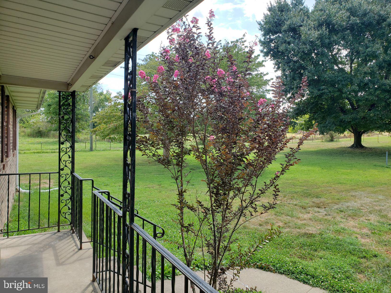 4227 Belvoir Road Marshall, VA 20115 - Photo 8 of 43 Flowering trees and relaxing views