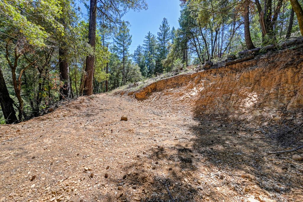 23505 Grand View Way Colfax, CA 95713 - Photo 24 of 32