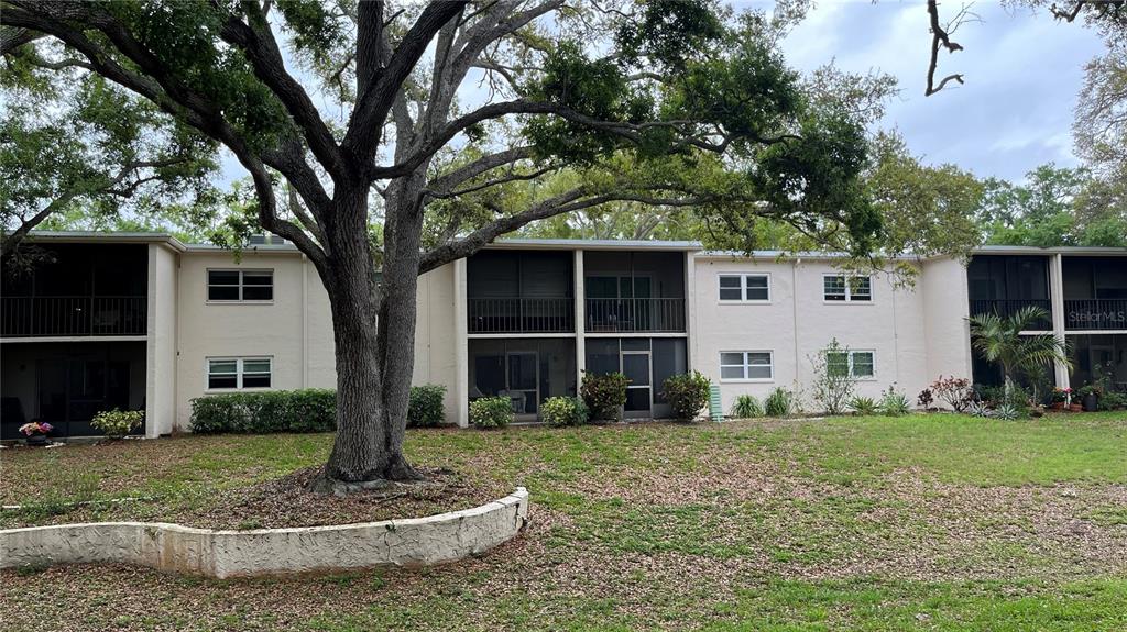 870 Virginia Street, Unit 111 Dunedin, FL 34698 - Photo 30 of 43